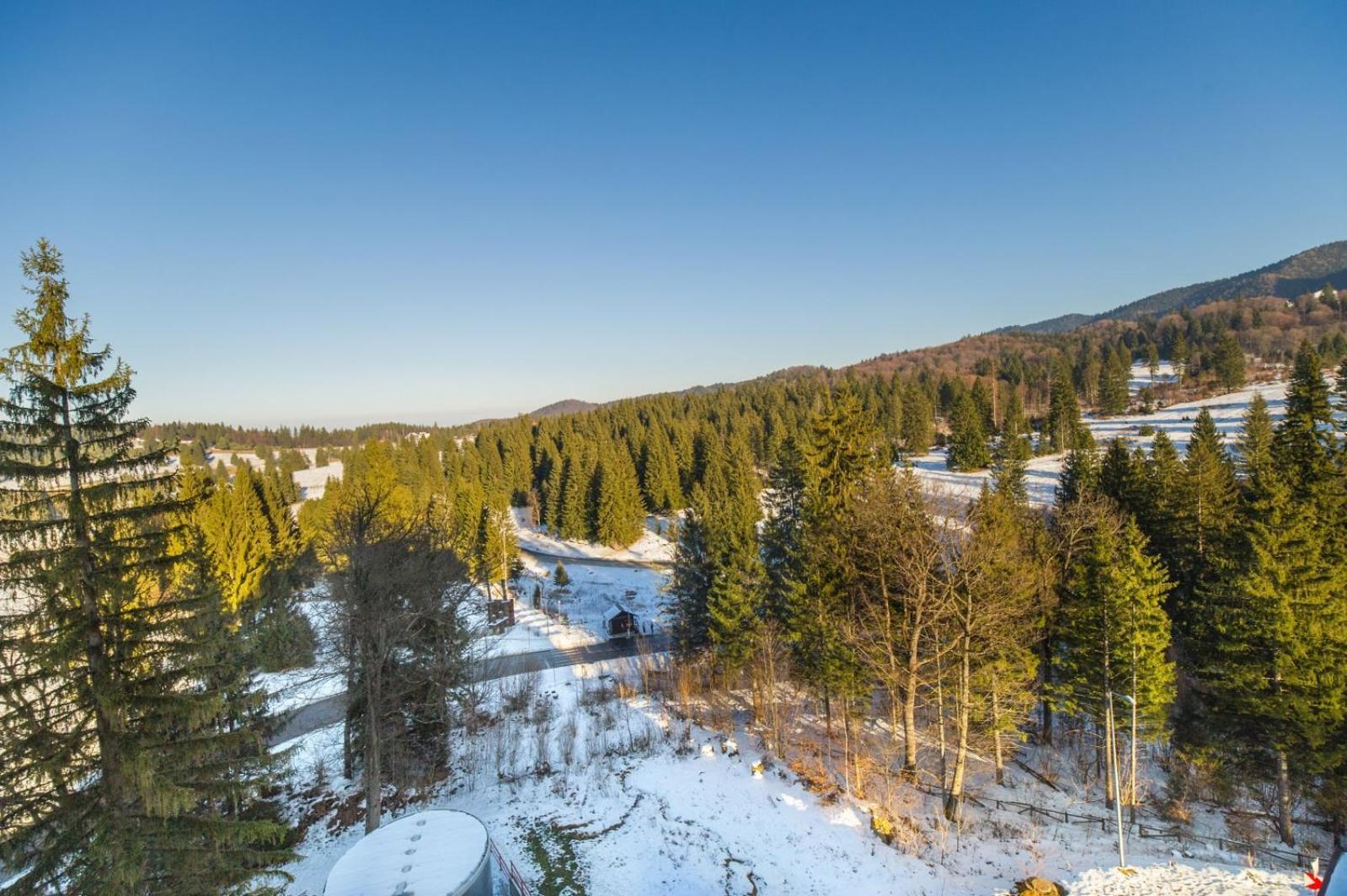 Charming Family Condo In Silver Mountain Poiana Braşov Dış mekan fotoğraf